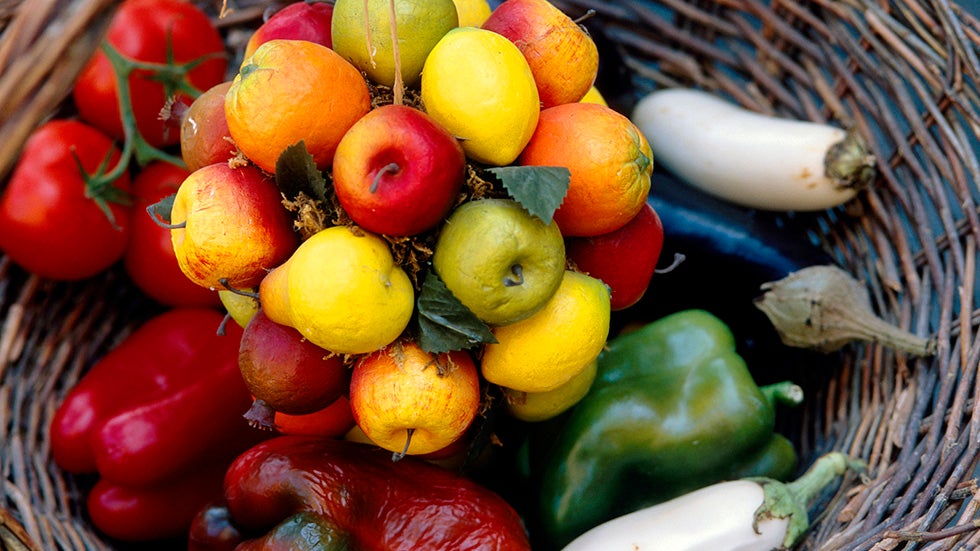 Amazing Power Foods for Your Immune System