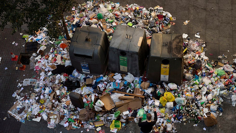 el club delos incomprendidos 2 como cuidar un girasol