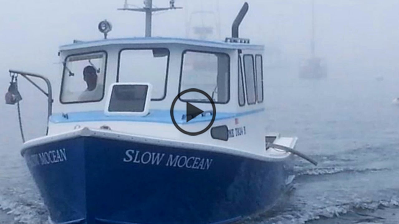 Amazing Catches Unlike Anything You Have Ever Seen