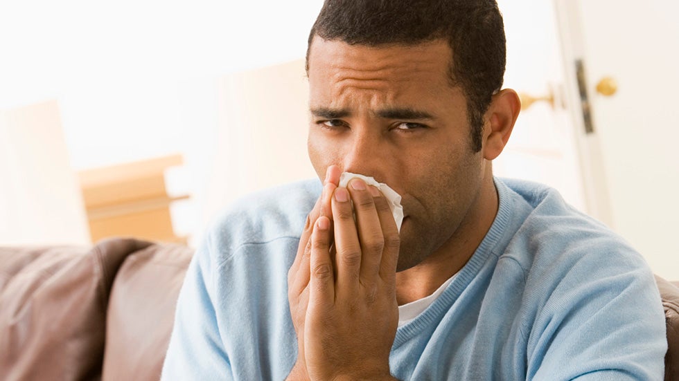Climate Change Set to Worsen Pollen and Grass Allergies
