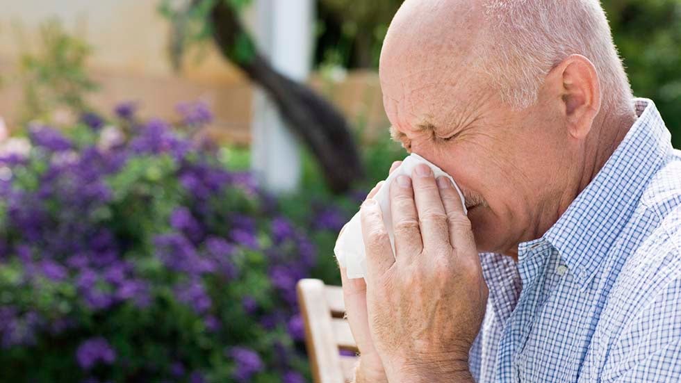 What Is a Pollen Vortex?