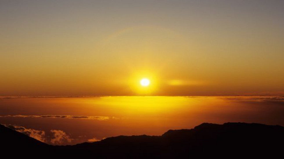 Heat: During the Heat Wave 