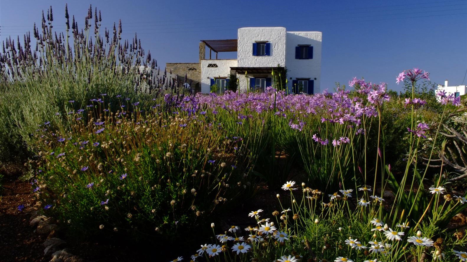 Paros, Greece Seaside Garden Uses Agean Sea as Inspiration (PHOTOS)