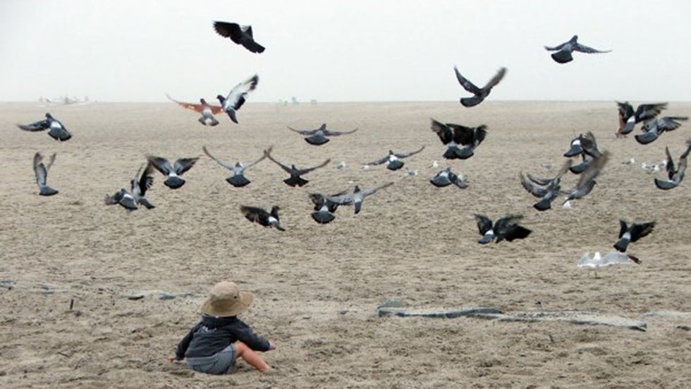 COUNTDOWN: 10 Reasons Summer Rocks