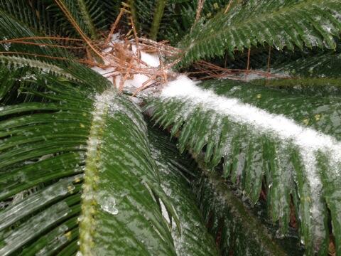Winter Storm Leon Leaves Bridges Closed in Pensacola, Parts of Panhandle