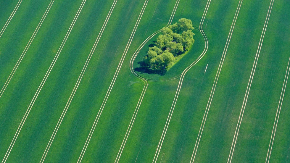 2. Fuerstenwalde, Germany