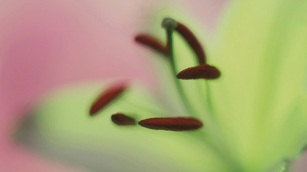 Fall Allergies Getting Worse: Why Now?