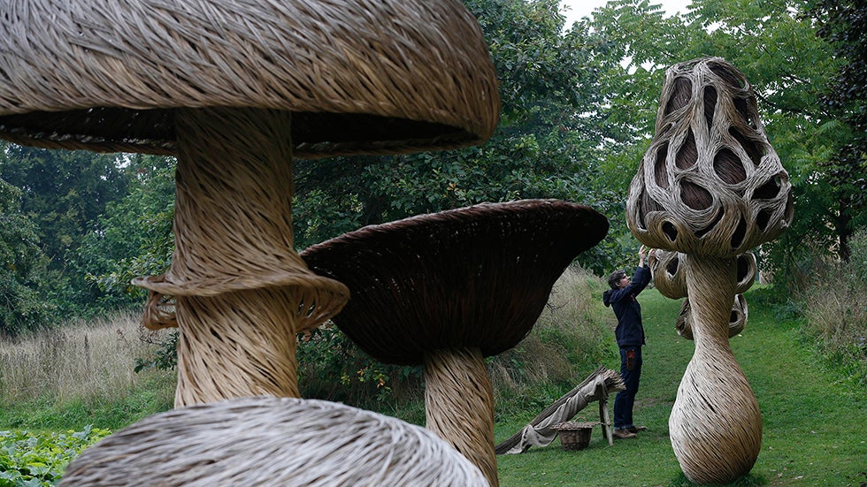 IncrEdibles: Kew Royal Botanic Gardens Festival Celebrates Plants You Can Eat