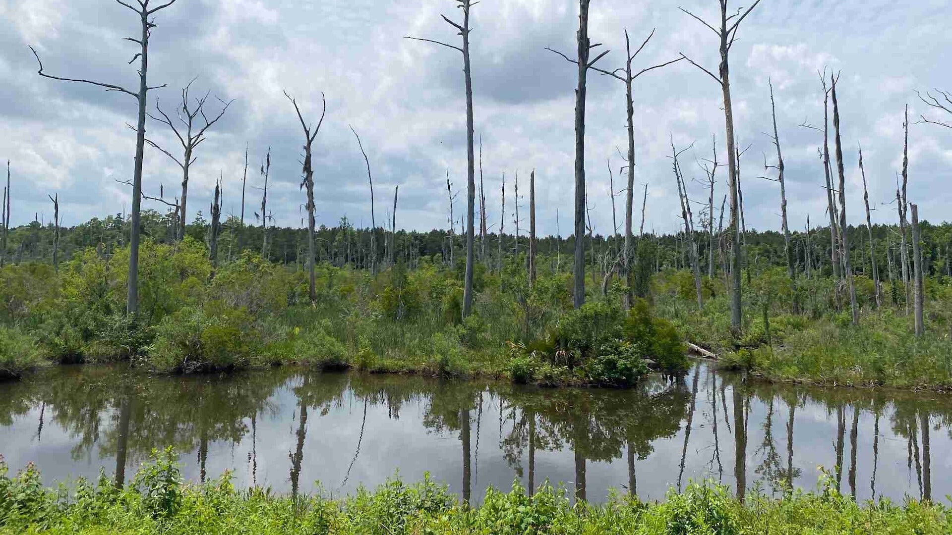 Weather Words: Saltwater Intrusion