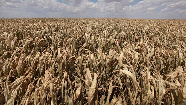 Monsoon Rains Bring Some Drought Relief to Southwest | Weather.com