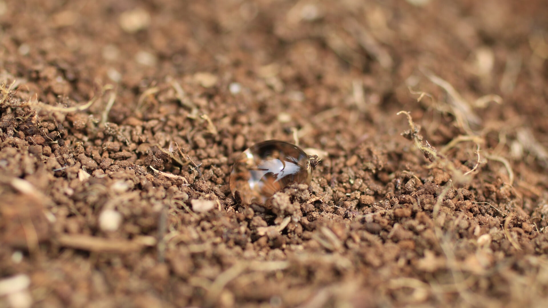 Weather Words: Hydrophobic Soil