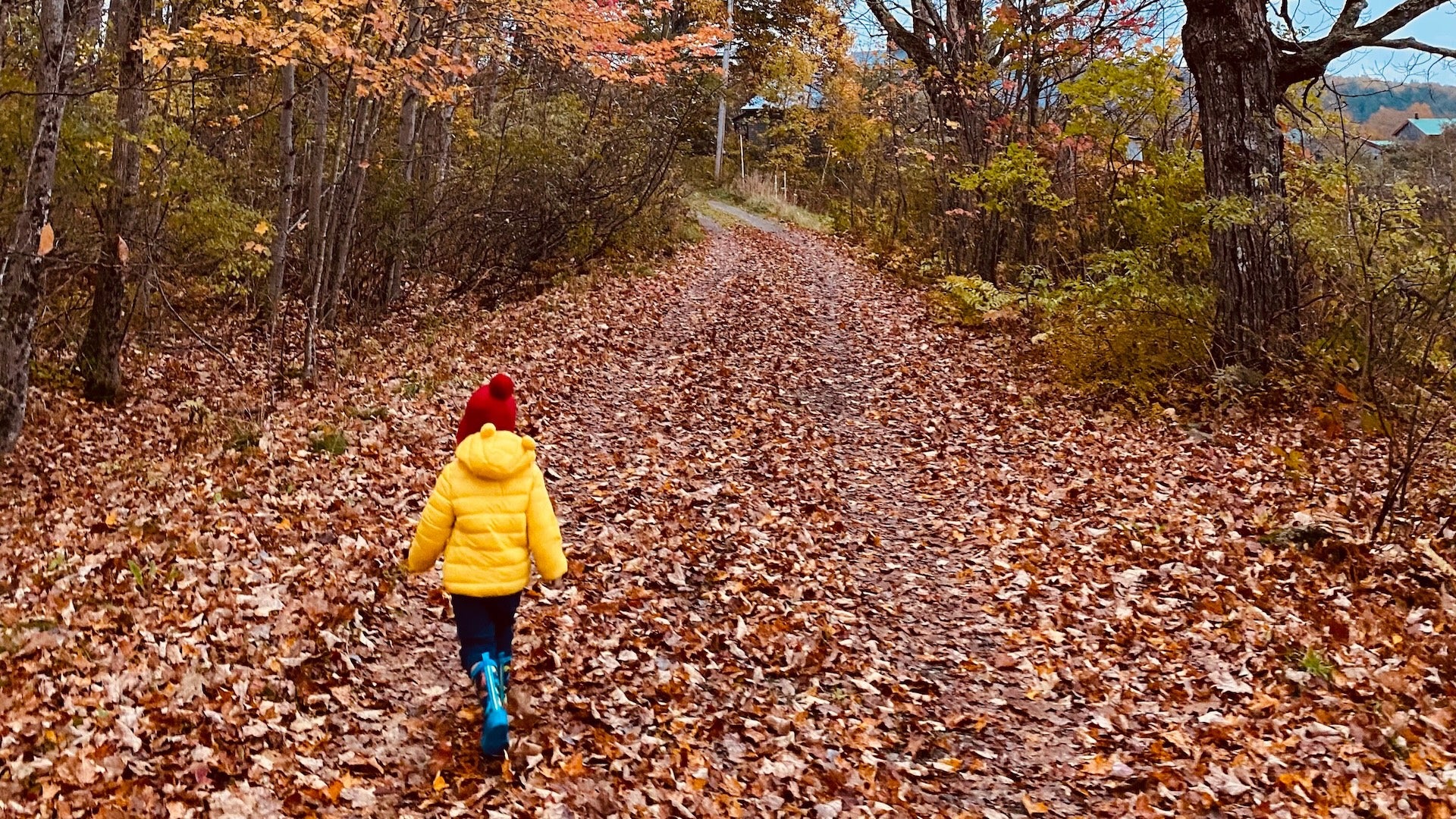 Weather Words: Abscission 