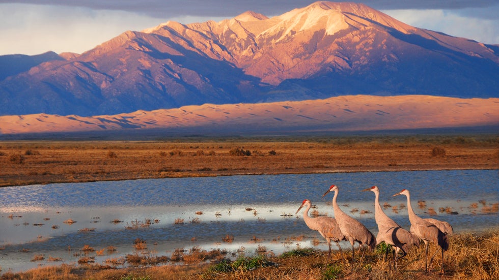 Going Wild: 6 National Parks to Visit (PHOTOS)