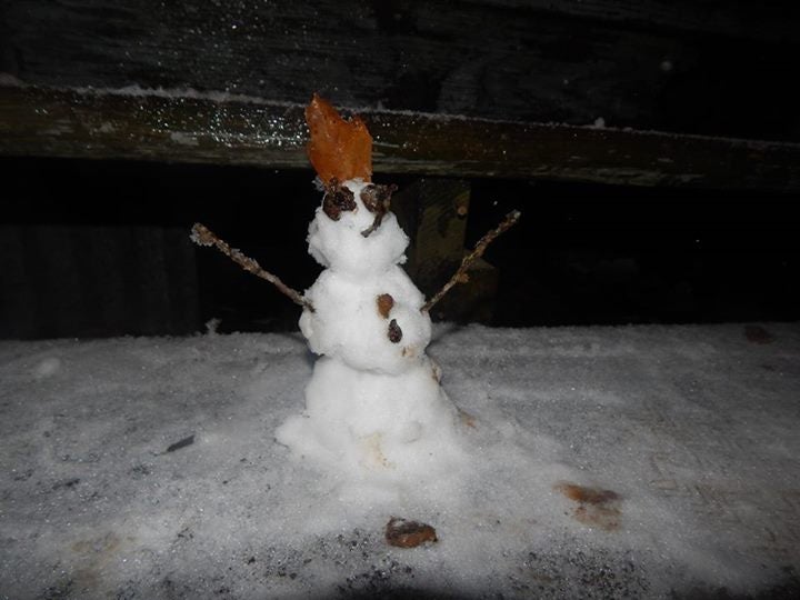 Winter Storm Kronos: Snow, Sleet, Ice Reports from Texas, Louisiana and Mississippi