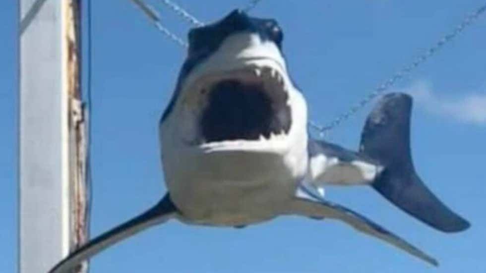 Shark Goes Airborne During Hurricane