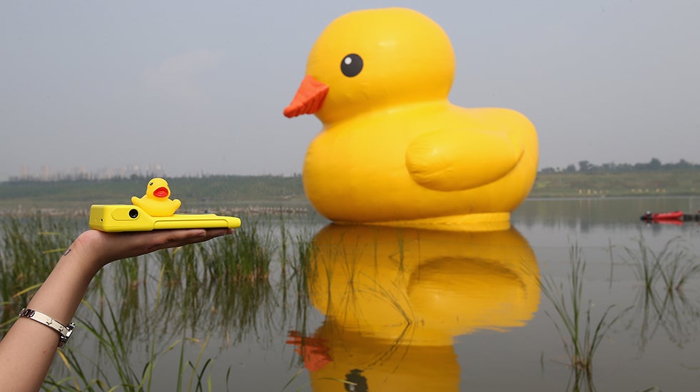Giant Rubber Duck Visits Beijing, China's Large Garden Expo (PHOTOS)