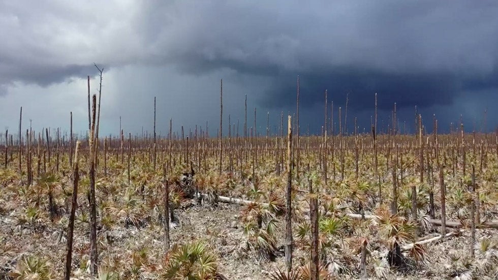 Nampa, ID 10Day Weather Forecast The Weather Channel