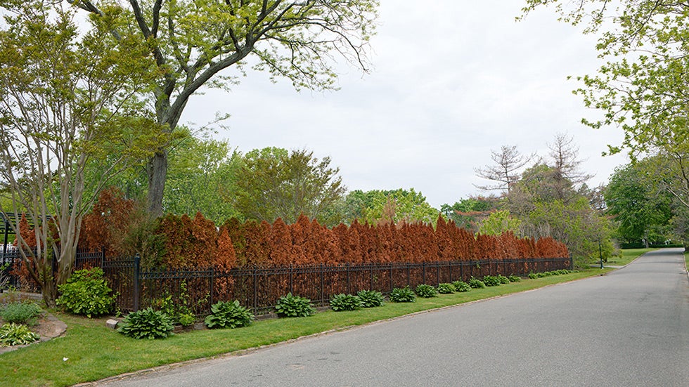 Photos Reveal Long Island's Damaged Landscapes, Long After Superstorm Sandy
