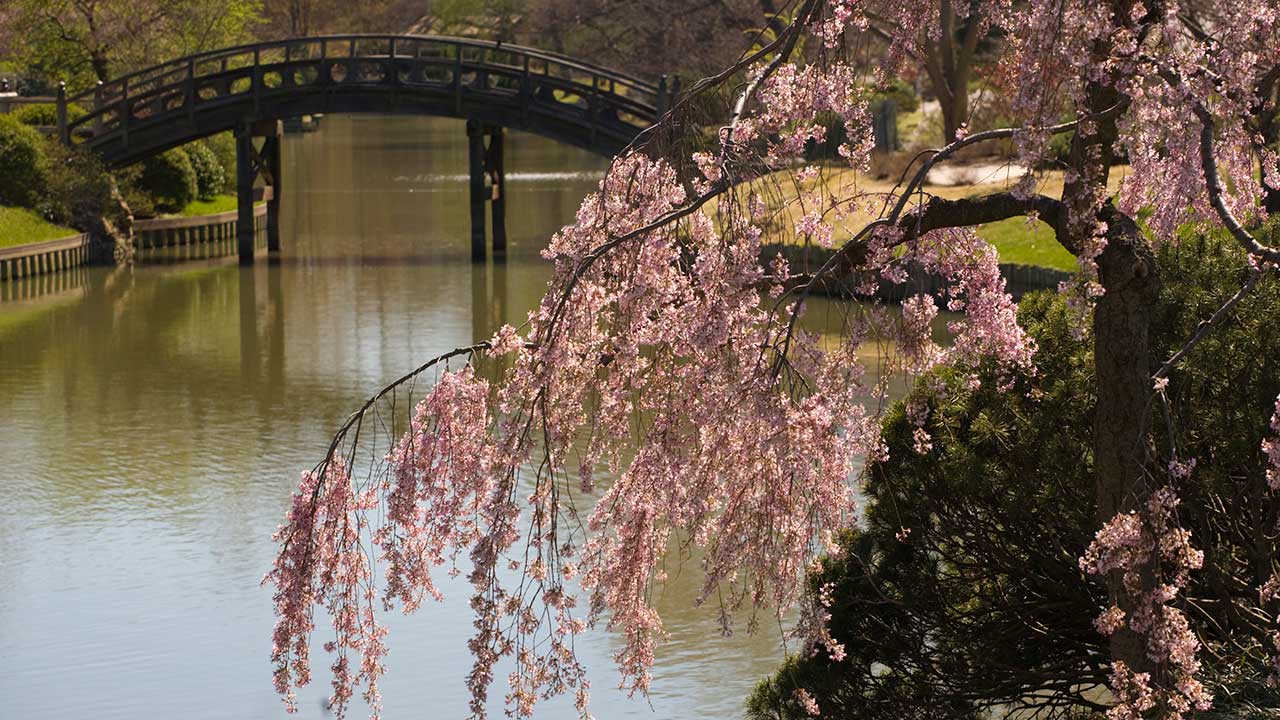 Missouri Botanical Gardens