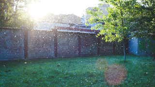 How Humidity Affects Allergies | Weather.com