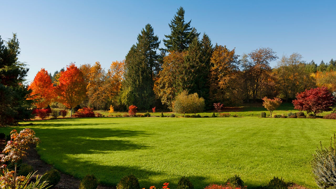 Expansive lawn in autumn