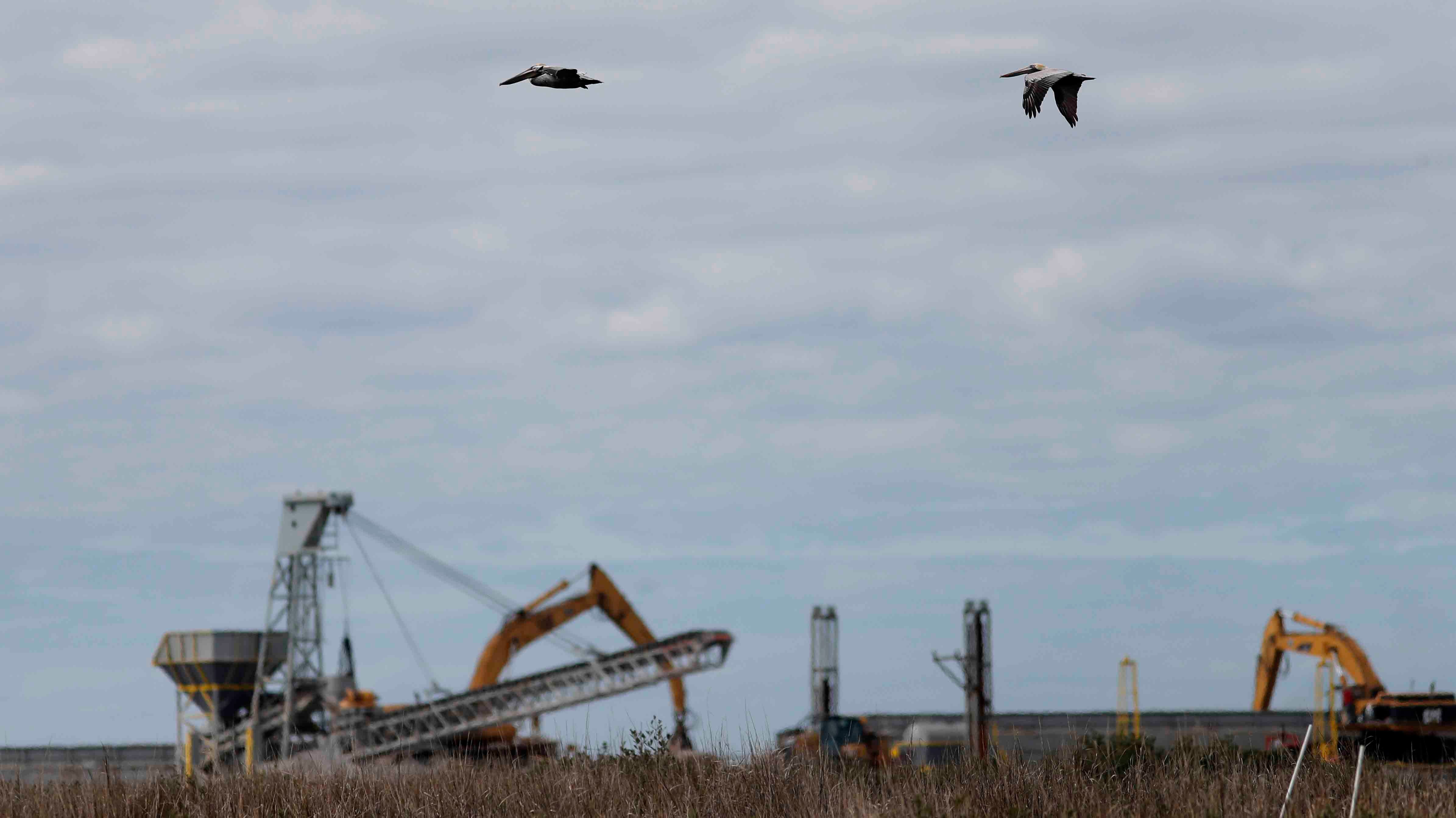 Crucial Pelican Habitat in Louisiana Being Restored After Decades of