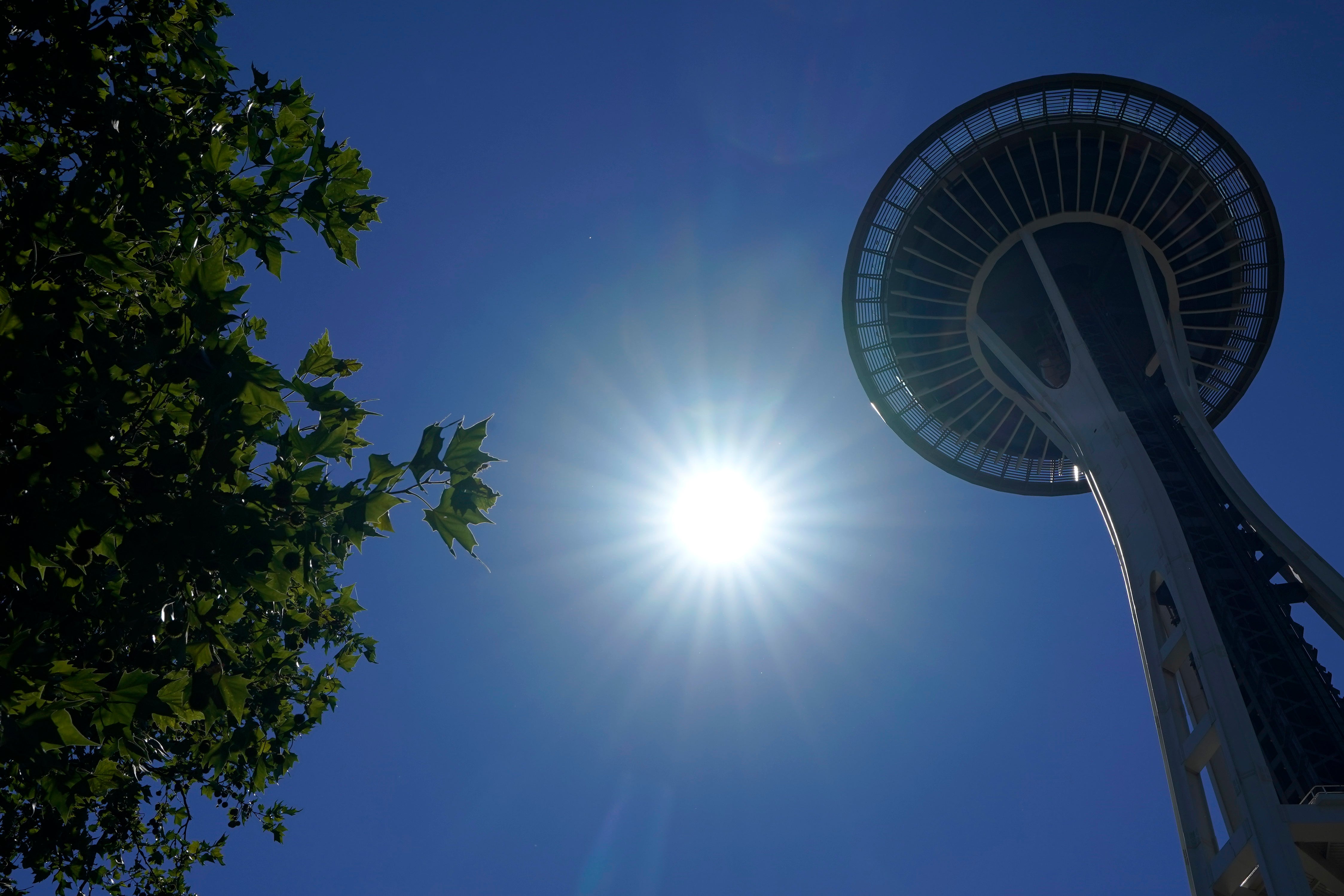 Dangerous Heat Wave Continues in the Northwest (PHOTOS)