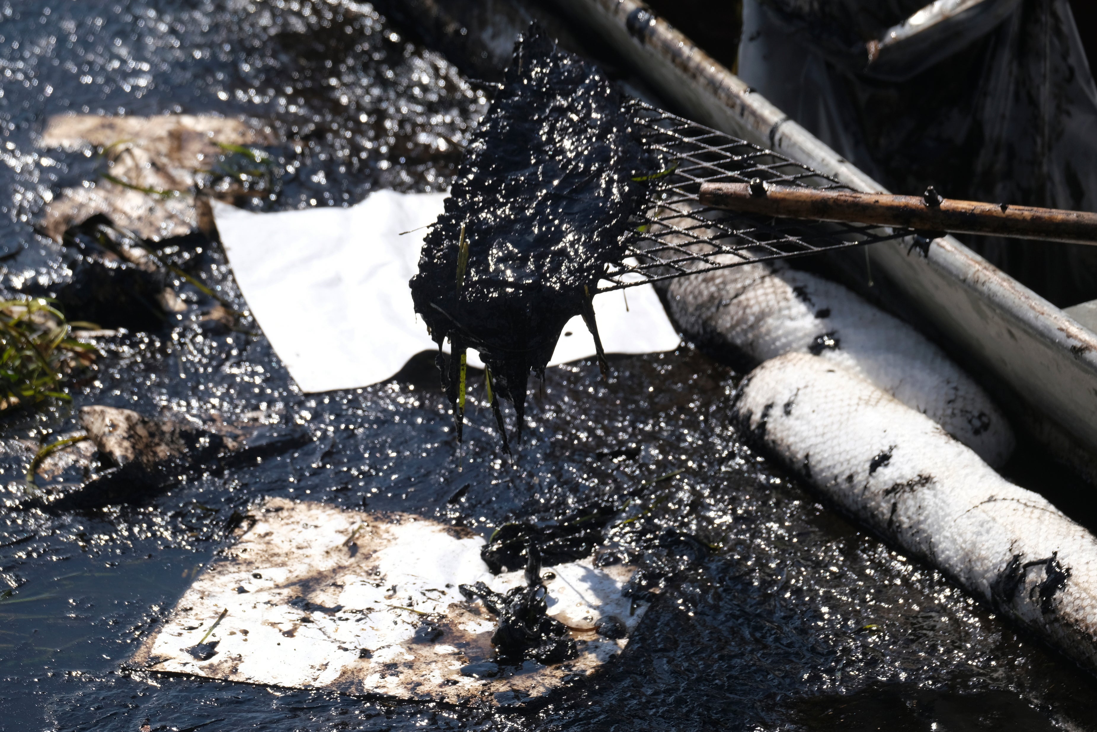 Photos of California's Devastating Oil Spill