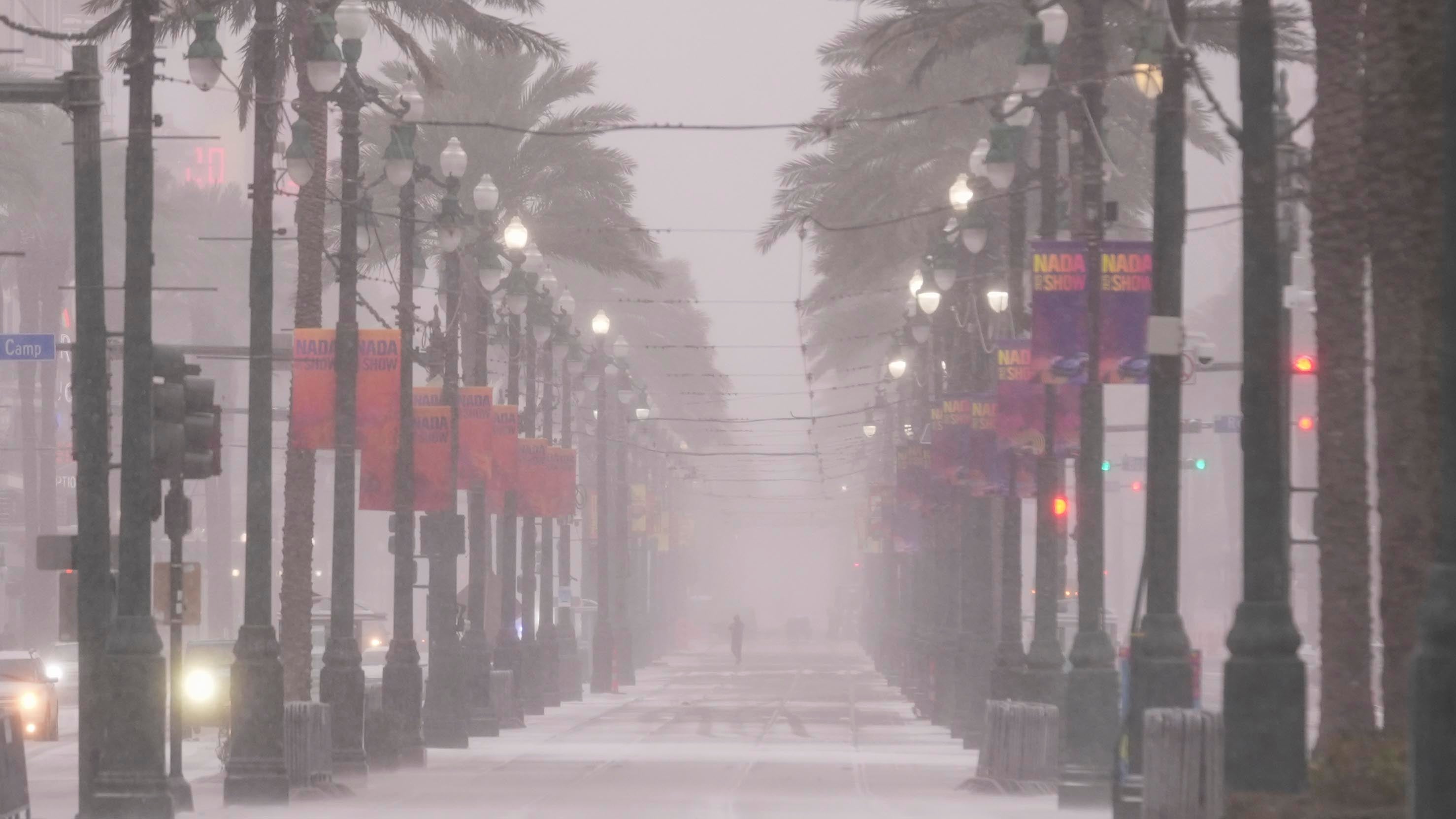 A palm-tree lined street is covered in snow.
