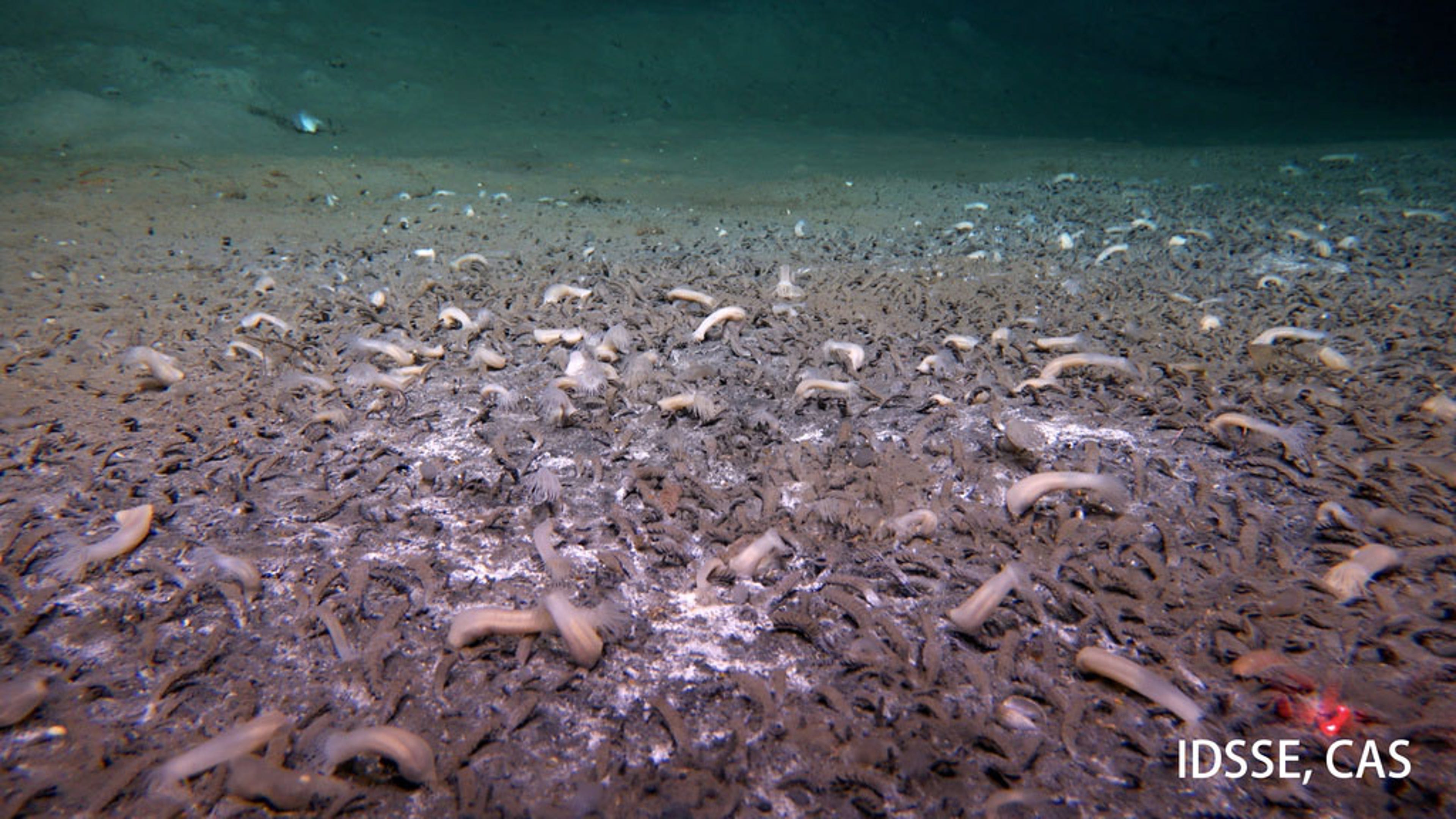 AP25210580246453.jpg