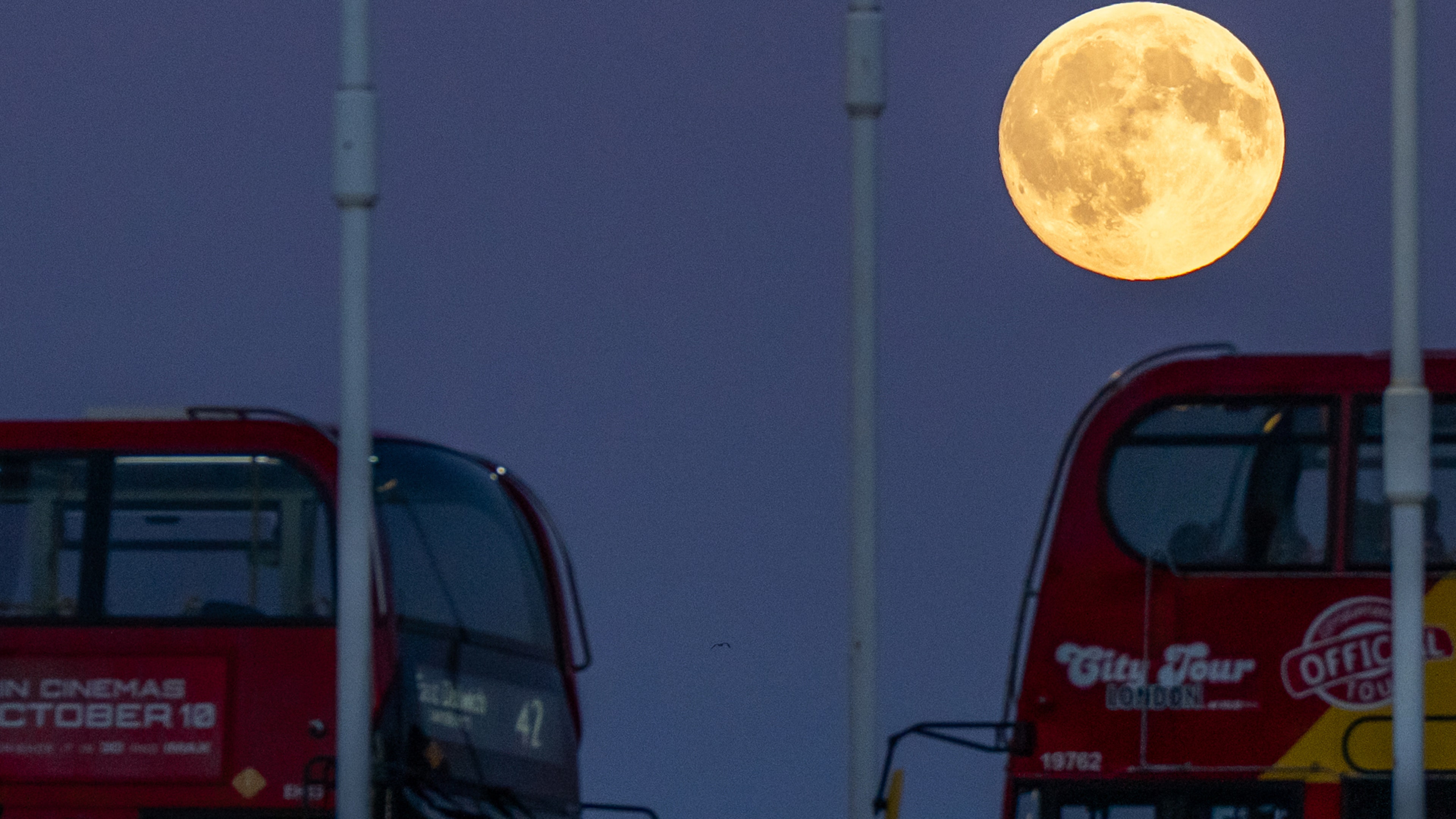 The Harvest Supermoon increases while the double -brown buses pass in front of Tower Bridge in London.