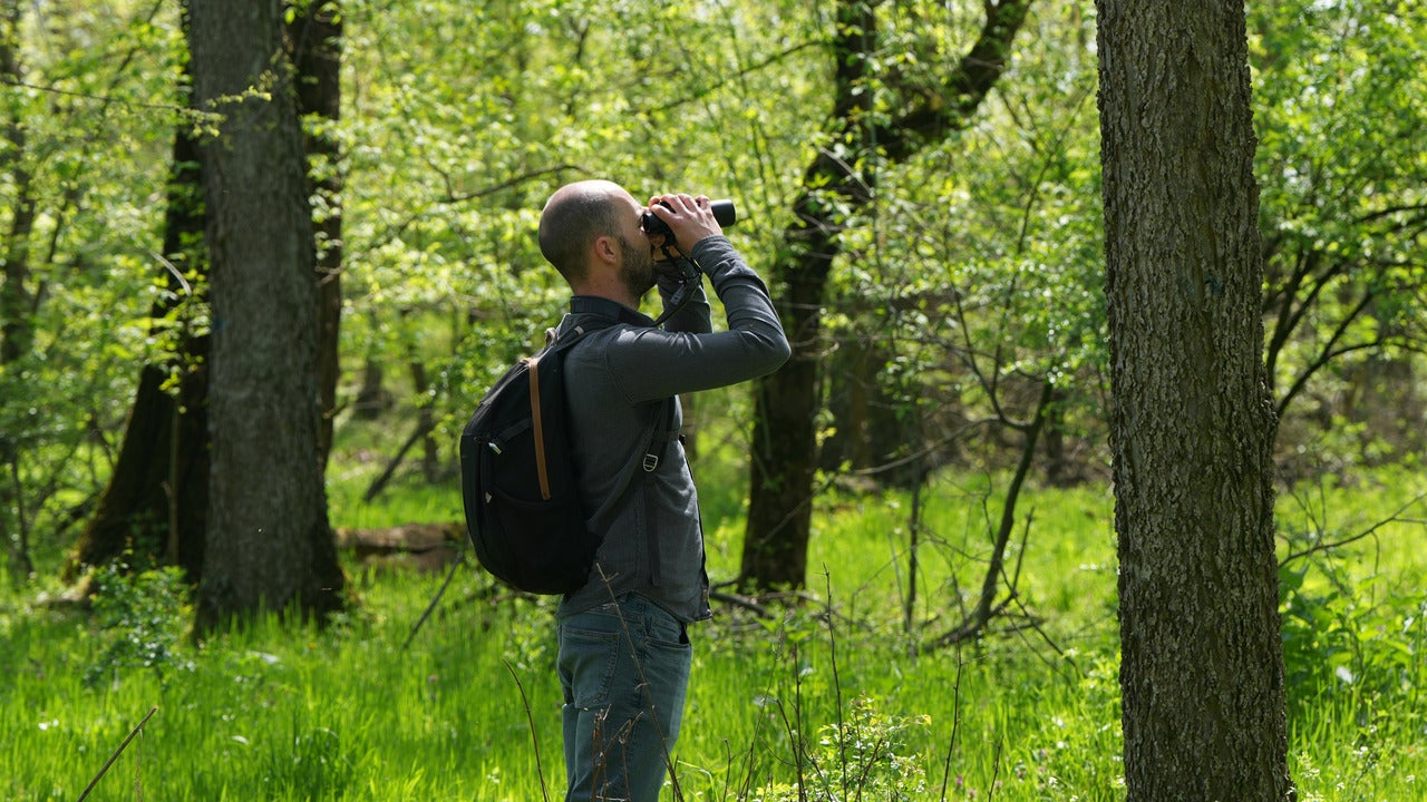 A Serbian Bird-Watching Group Uses Crowdfunding To Buy And Preserve A Woodland Habitat
