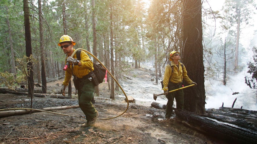 Firefighters at Elevated Risk for Certain Cancers, Study Review Finds