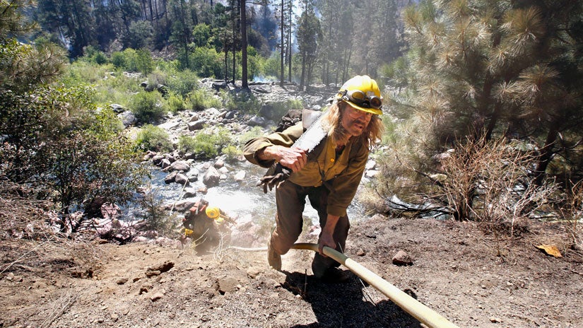 Western Wildfires: Firefighters Injured Battling California Fire; Man Arrested in Connection to Sacramento Area Wildfire