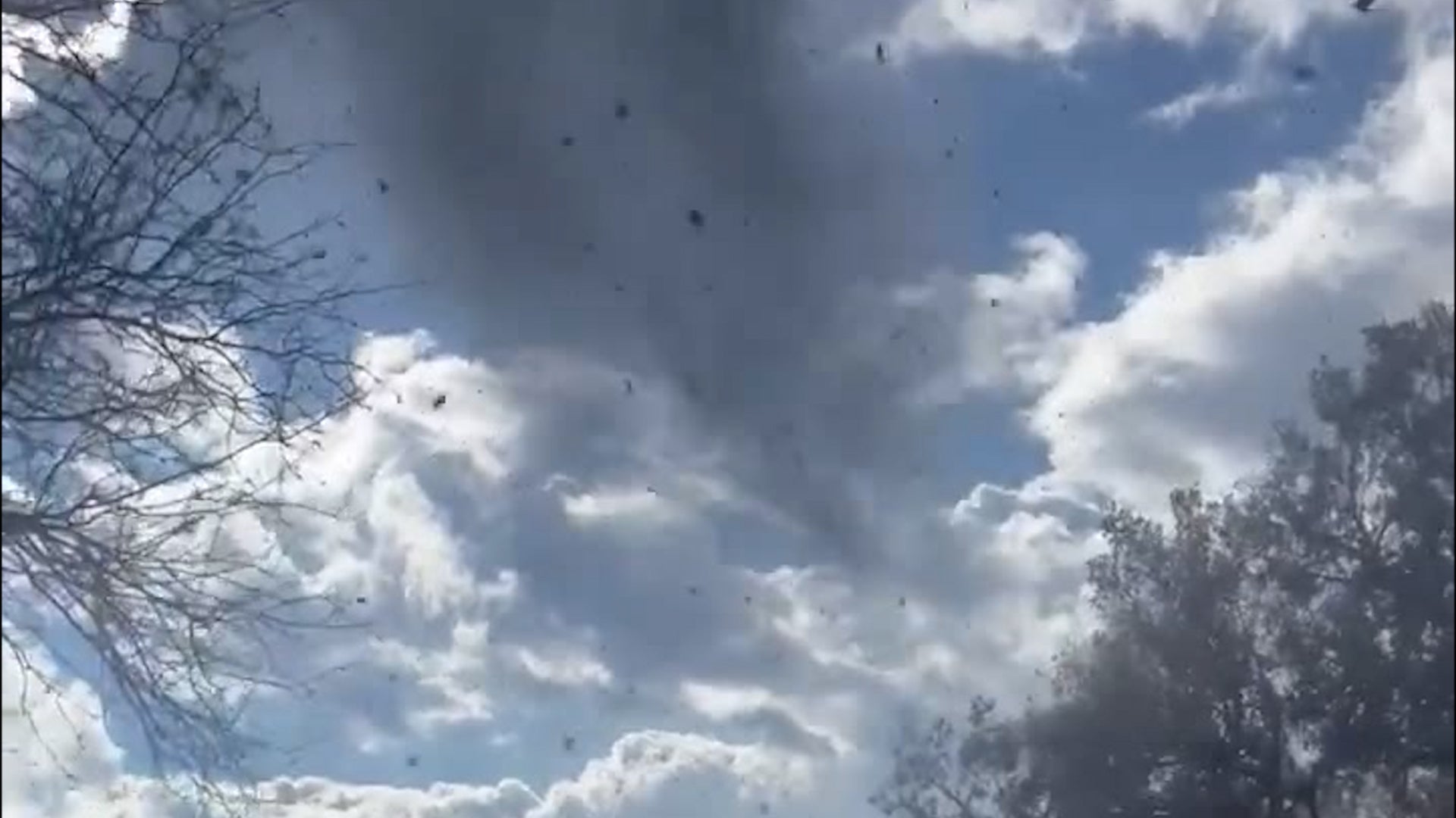 Arizona Residents Shocked As EF1 Tornado Damages Homes