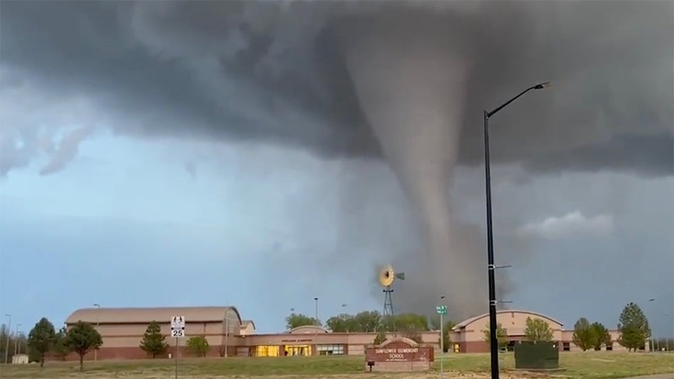 Watch Amazing Moment Deer Sheds Its Antlers Videos from The Weather