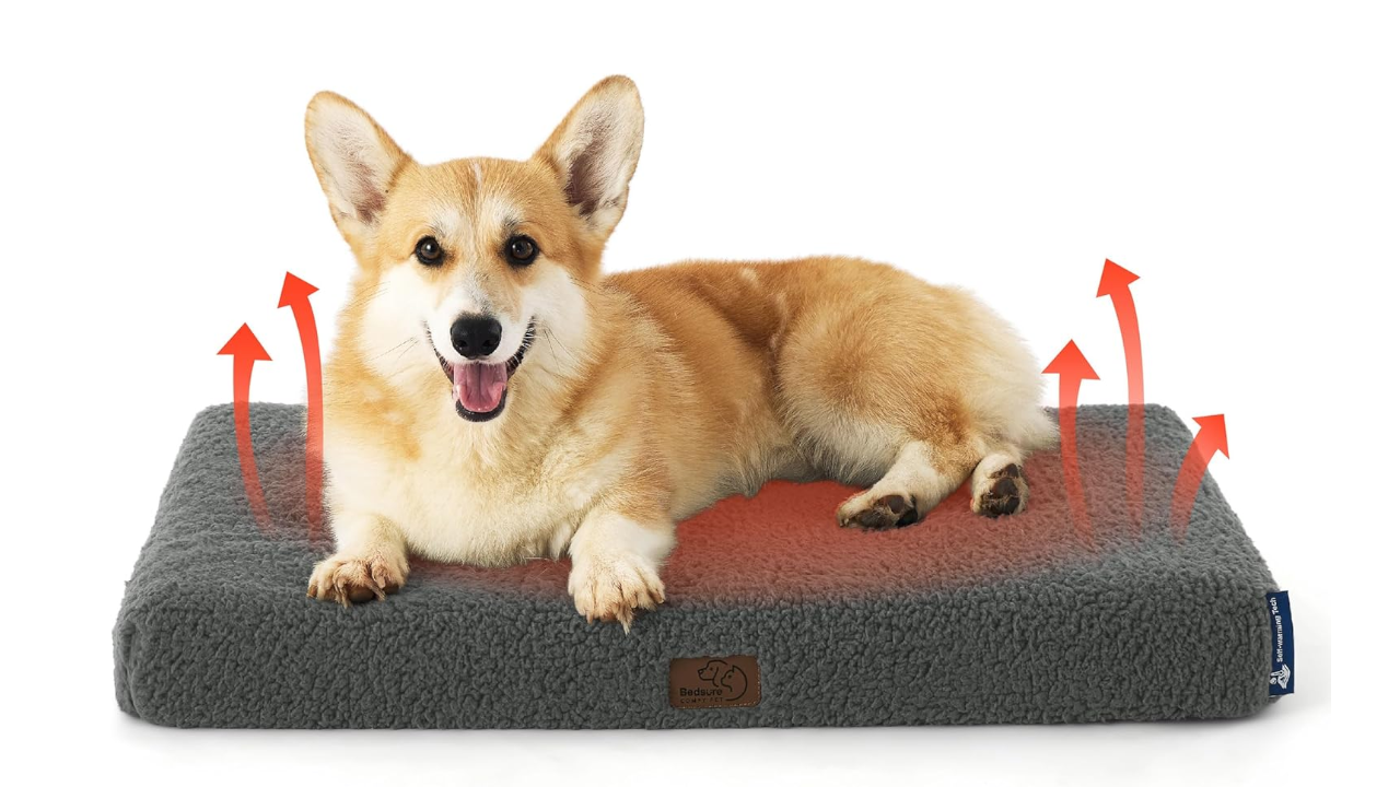 Bedsure Self Warming Dog Bed for Medium Dogs