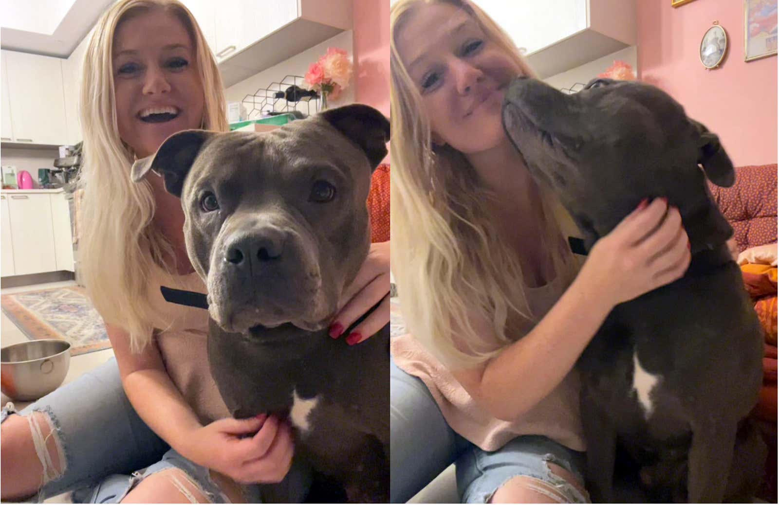 Bubby Strident Strays Fleeing Tropical Weather Find Forever Homes | Weather.com