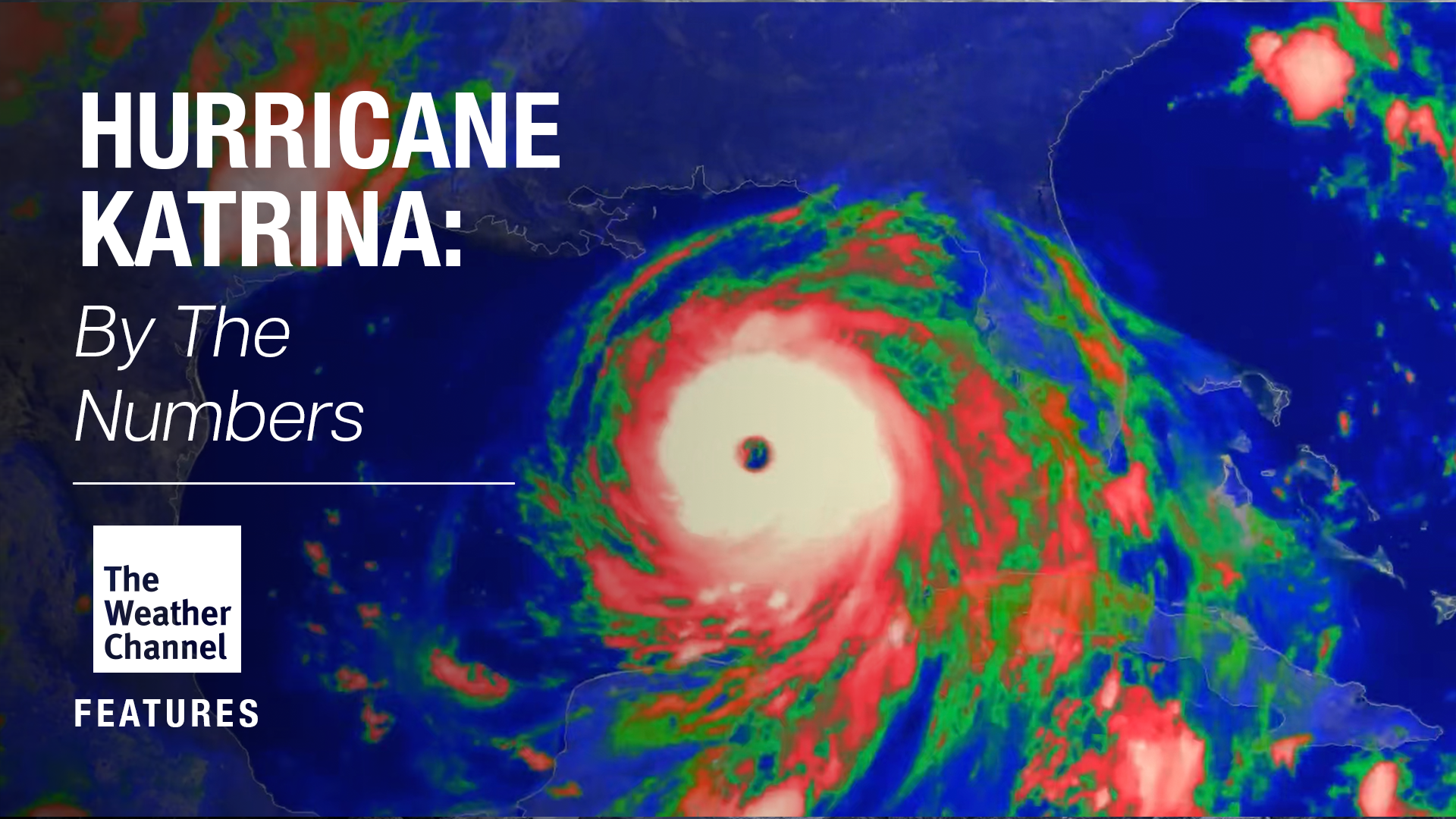 By the Numbers_Thumbnail.png