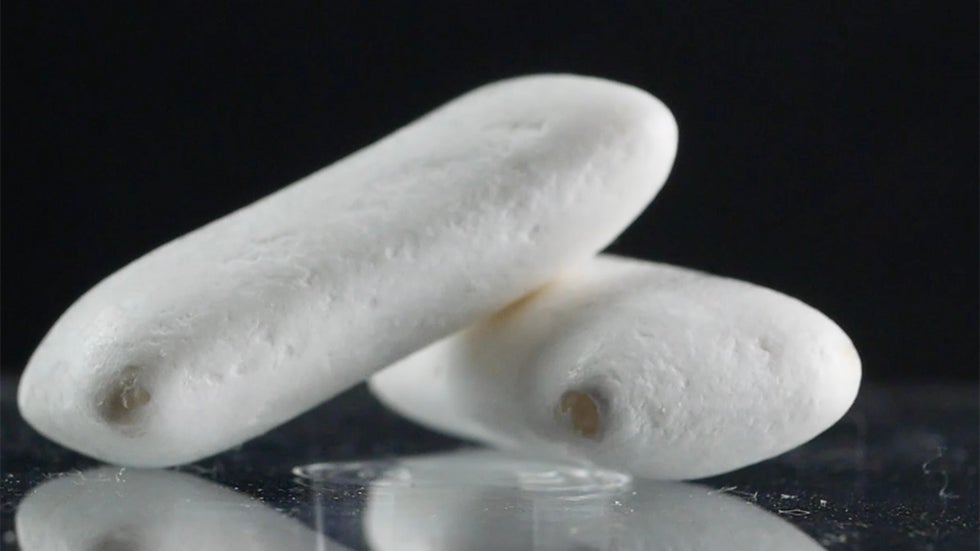 Chewing Gum Could Help Stop COVID Transmission Videos