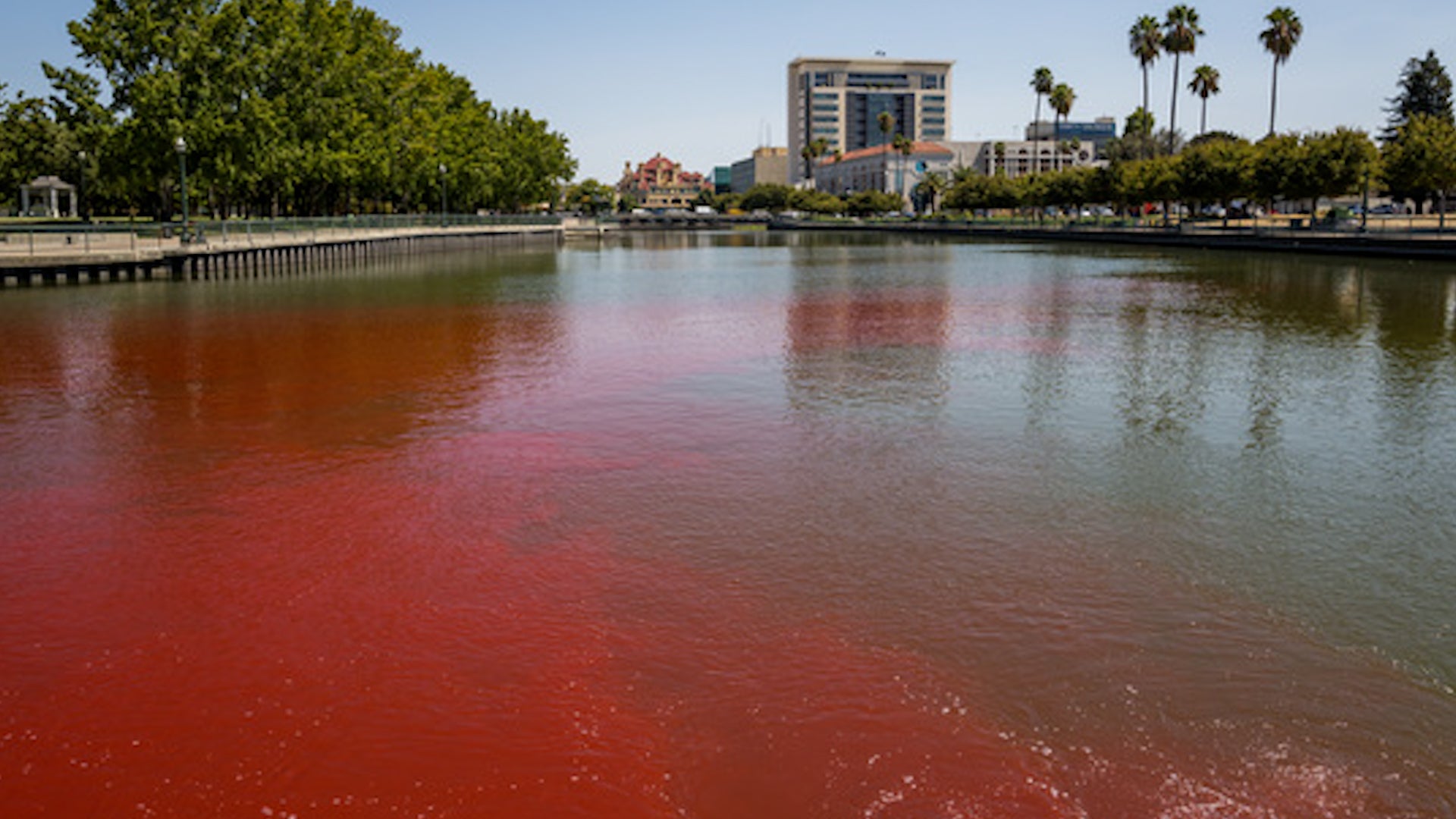 This California Lake Is Getting A Dye Job For Science