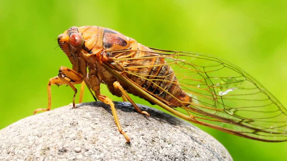 3 Reasons Not To Reuse Plastic Water Bottles Videos From The Weather 3-reasons-not-to-reuse-plastic-water-bottles-videos-from-the-weather