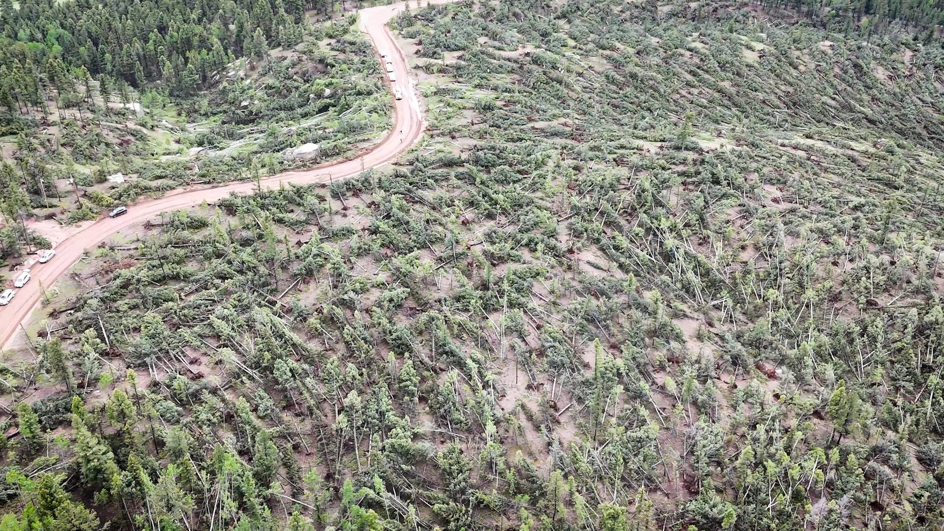 Colorado Mountain Tornado Downs Hundreds Of Trees