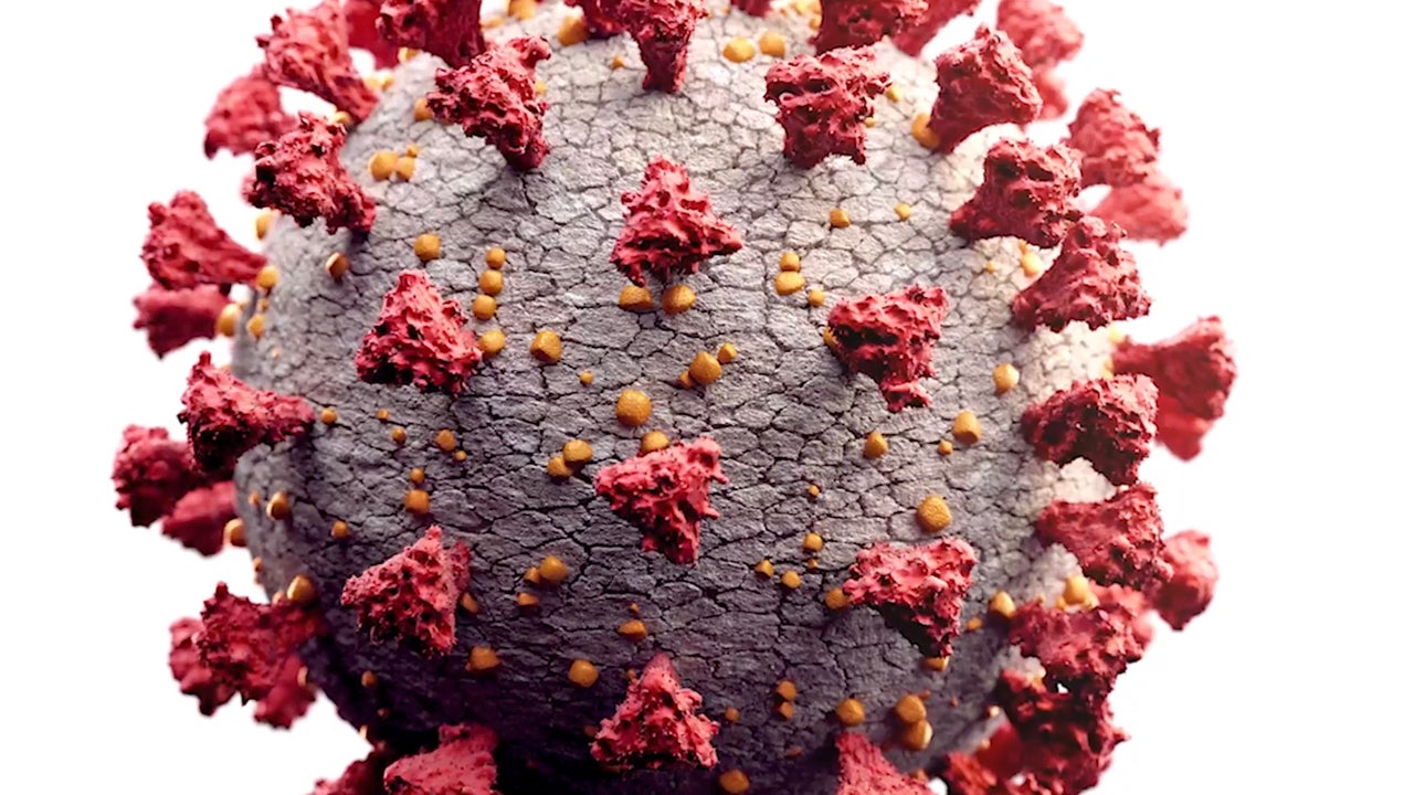 New Coronavirus Variant Concerns Health Officials