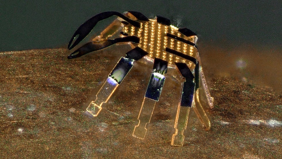 &lsquo;Crab&rsquo; Is Smallest Remote-Controlled Walking Robot