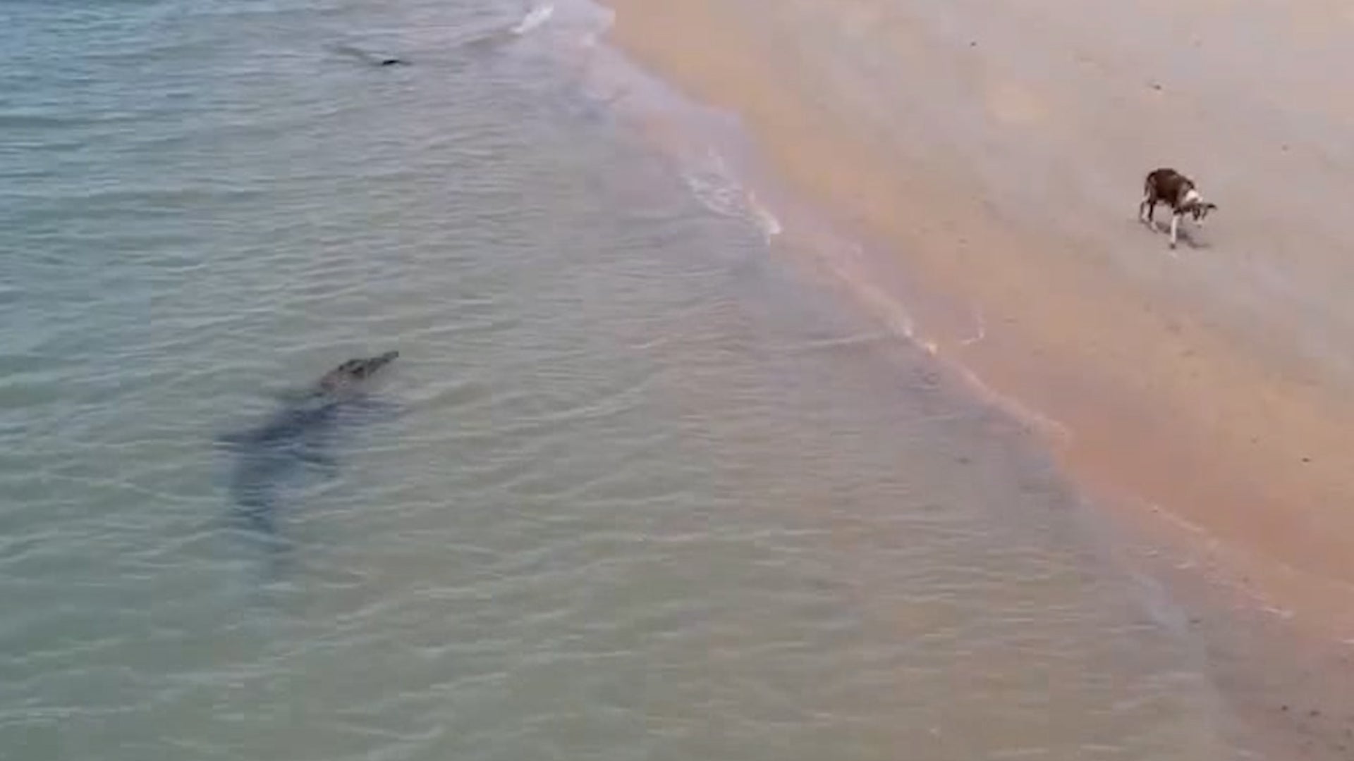 20 Day Forcast Weather For Myrtle Beah Sc Best Sale