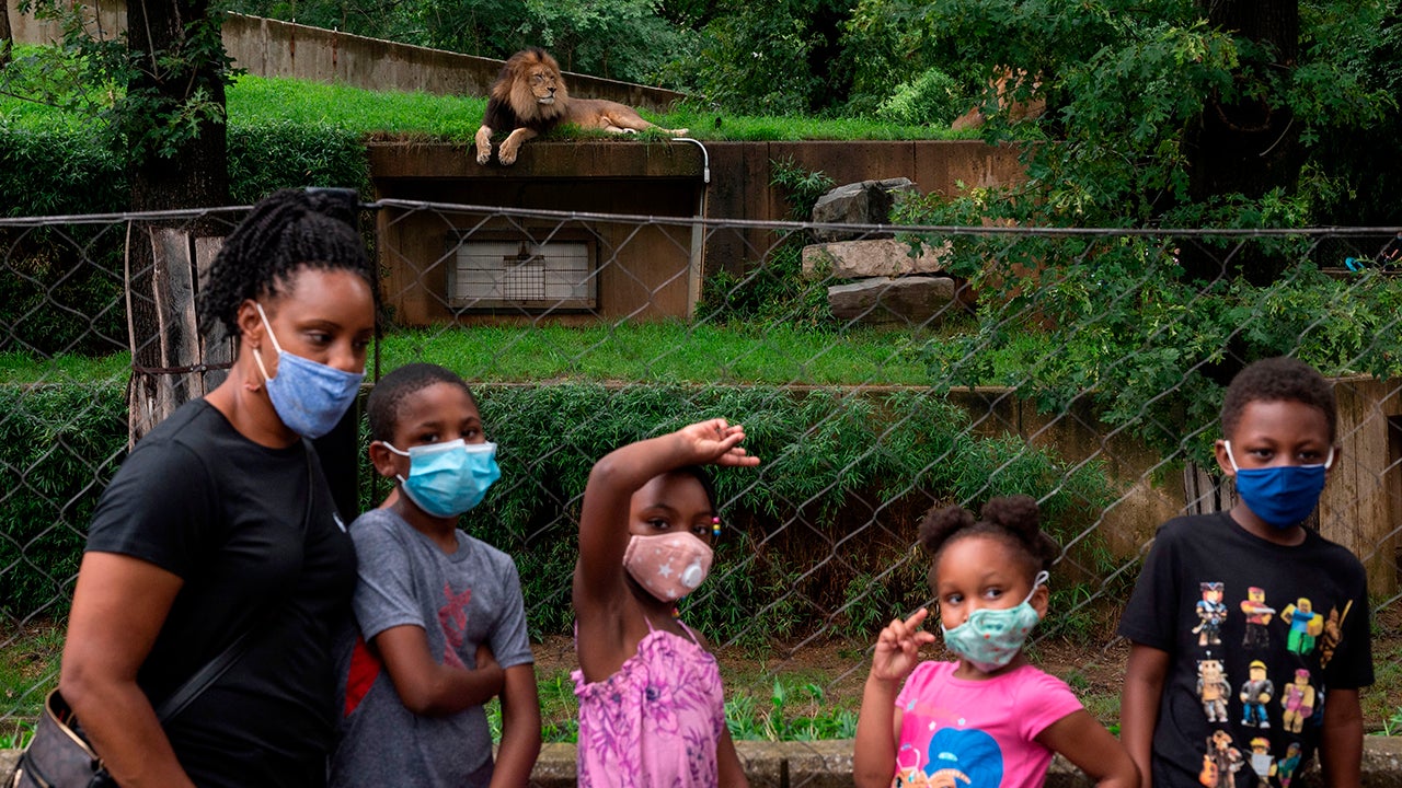 Coronavirus Updates: Fauci Says Some States Should Pause or Backtrack on Reopenings To Halt Surges