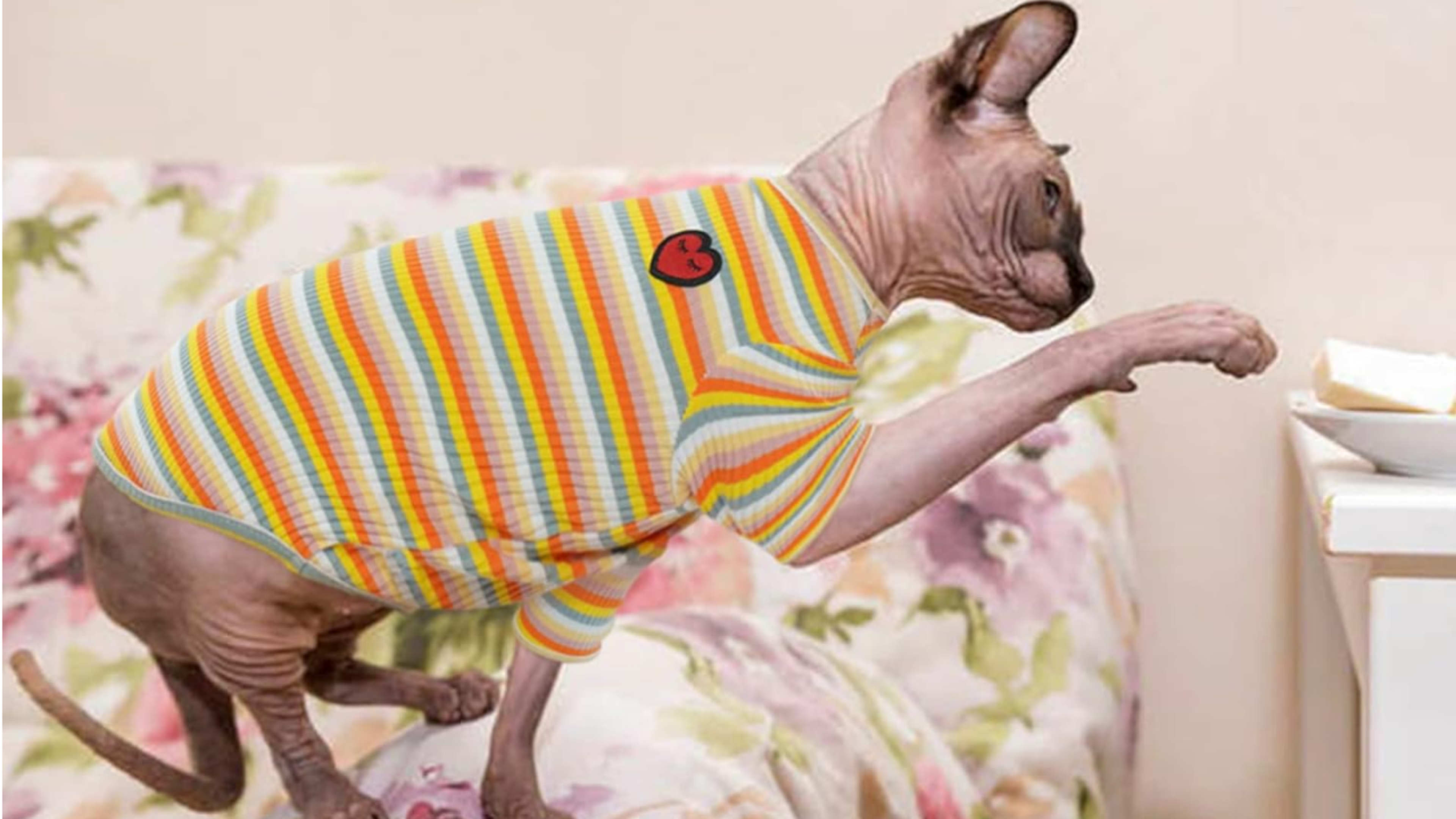 DENTRUN Hairless Cats Shirt - Breathable Stripe Vest