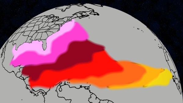 Tropical Storms And Hurricanes Approaching The US Can Take Days Or Weeks To Make Landfall 
