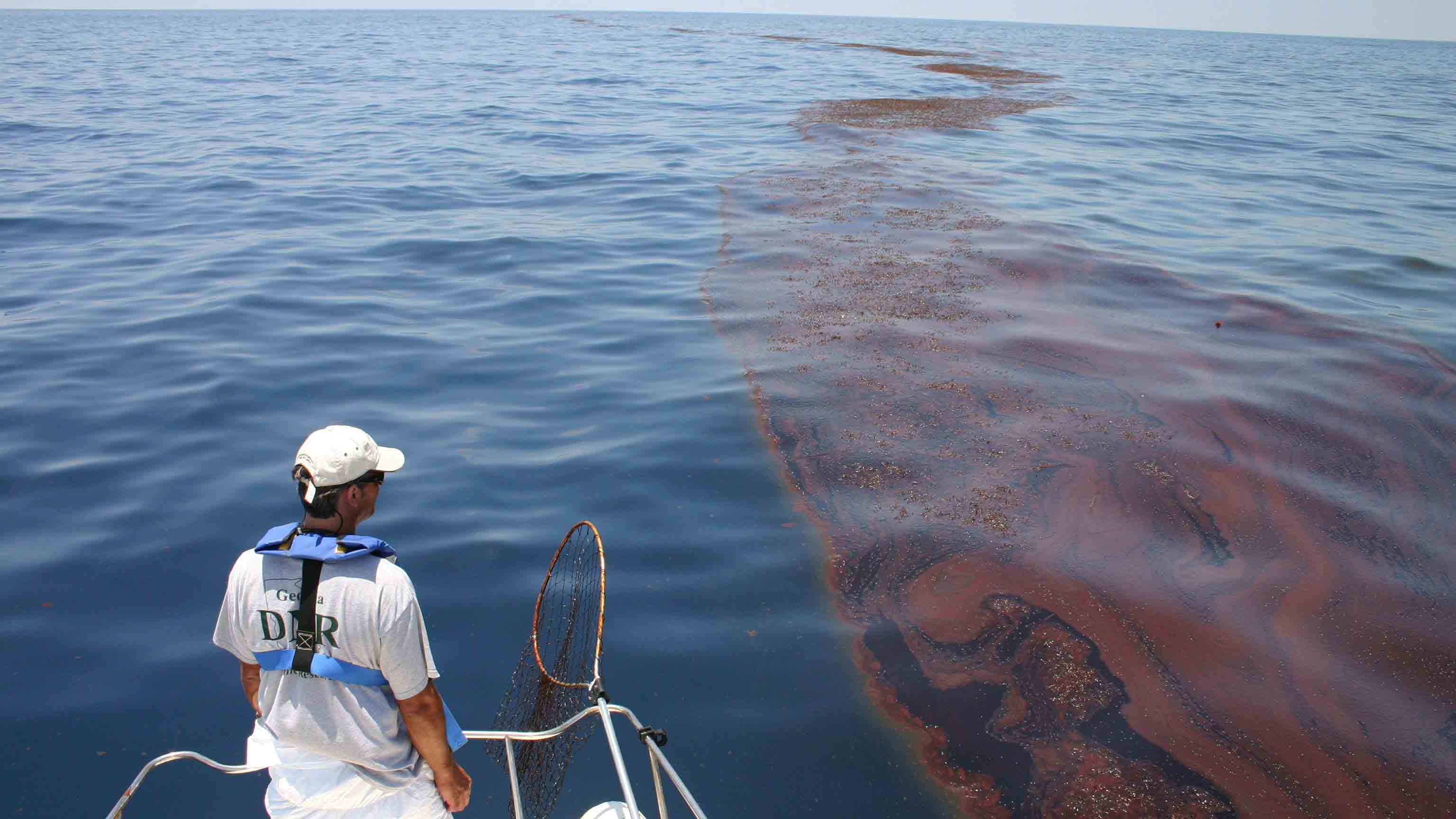 'Invisible Oil' From Deepwater Horizon Spread as Far as Texas and Key